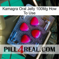 Kamagra Oral Jelly 100Mg How To Use 13